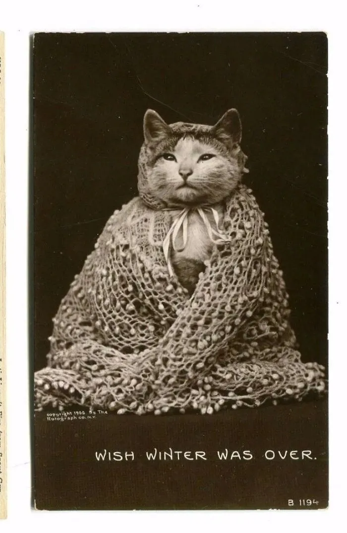 Vintage Babushkat Wishes Winter Was Over
