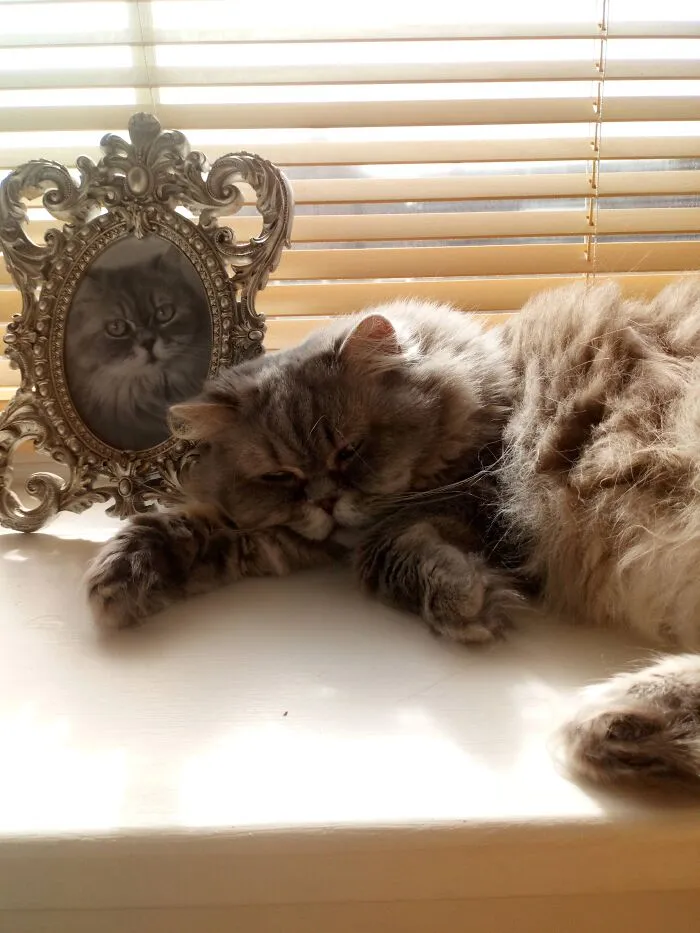 Lady P Sleeping Next To Her Favourite Photo!!