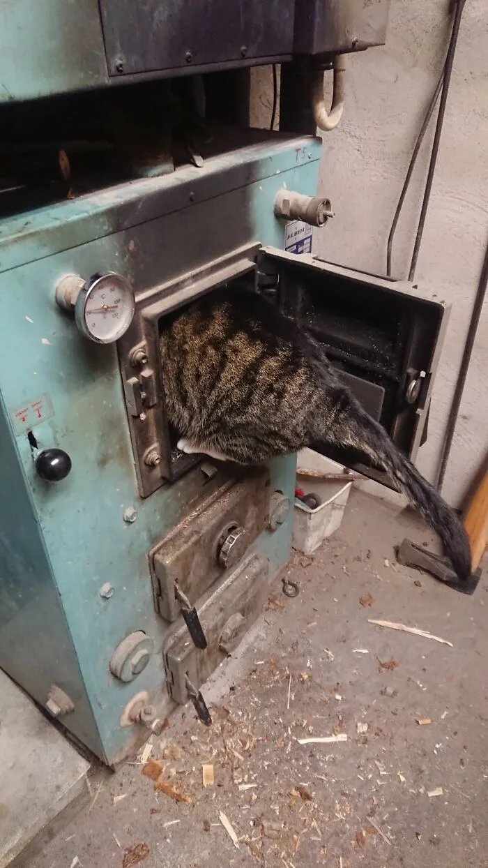 Is It Warm In Here?