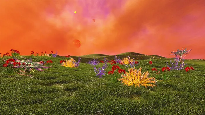 Some Flowers