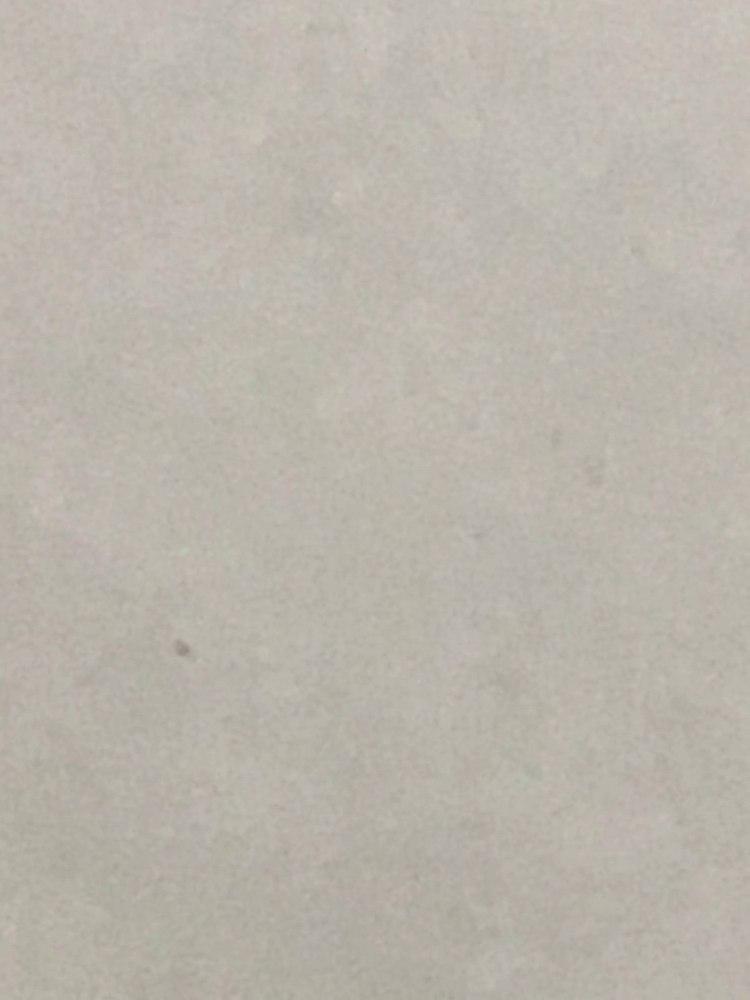 Draw New Polar Bear In A Snowstorm