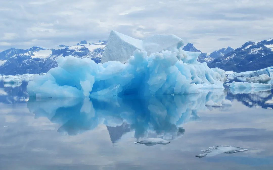 Draw A Picture You Might See In The Ice Age?