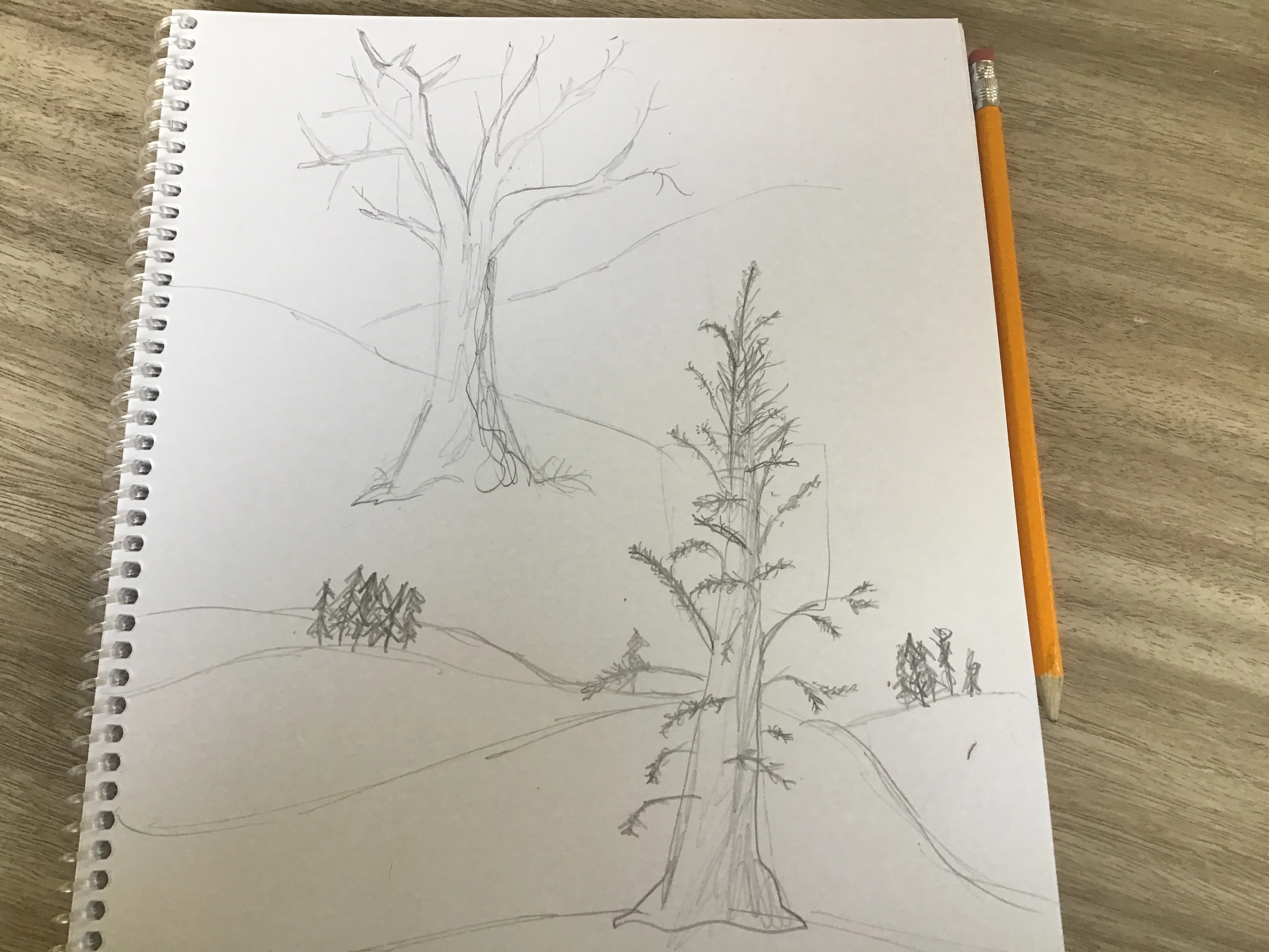 Draw A Tree