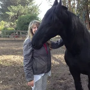 HorseMuse