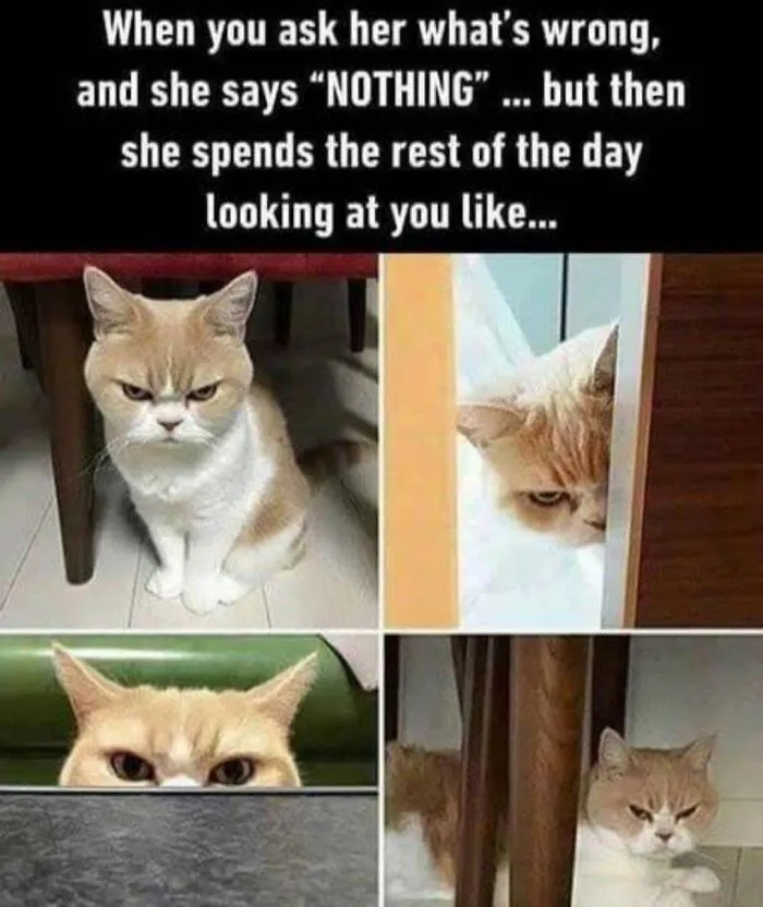 Indeed.