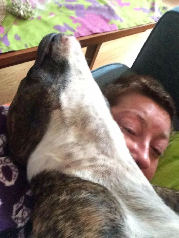 Snuggles On My Head.