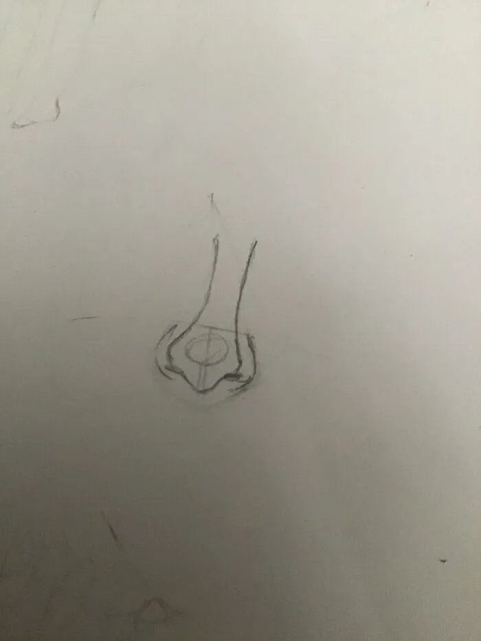 Also Learned How To Sum What Draw Nose