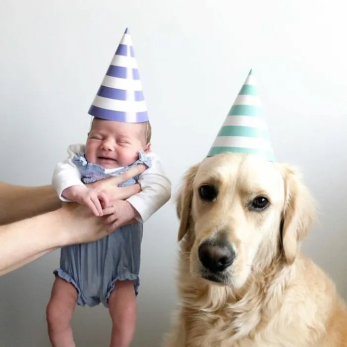 Happy Birthday To Me! Thanks For Stealing My Birthday Thunder Macy, Might Have To Bark At 2 Am When You Are Sleeping