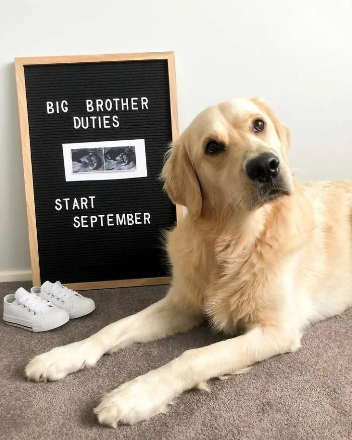 Welcoming A New Family Member!