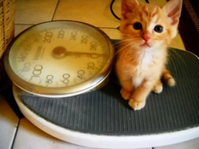 I'm Big Enough To Help With Any Problems. Honest!