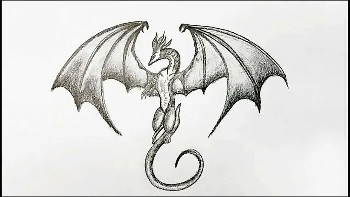 Flying Dragon-Name-Skylar