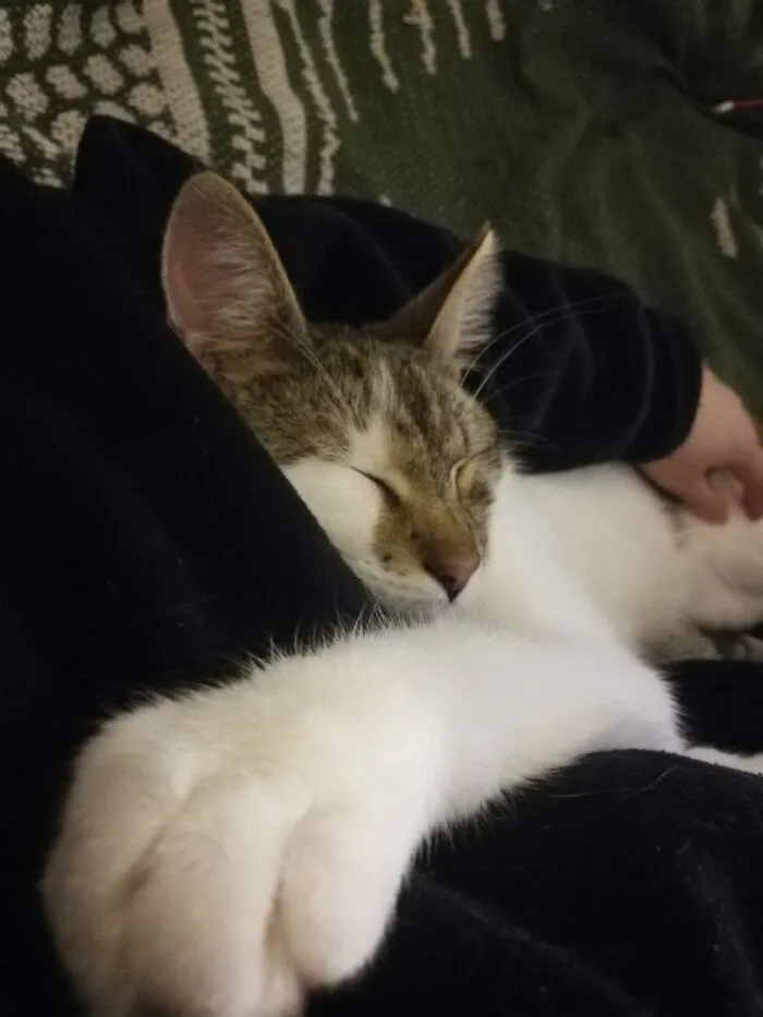Take This Sleepy Boy