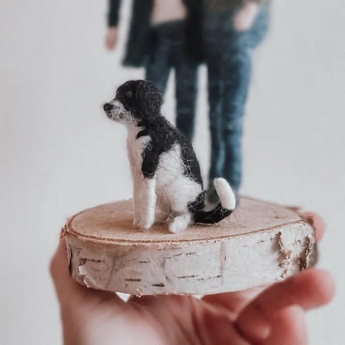 I've Been Creating Heartwarming Wool Families For A Year (40 Pics)