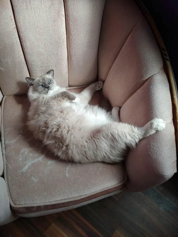 This Is As Angry As He Gets.
