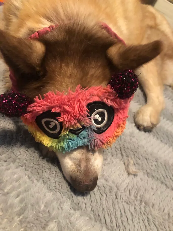 So Tired