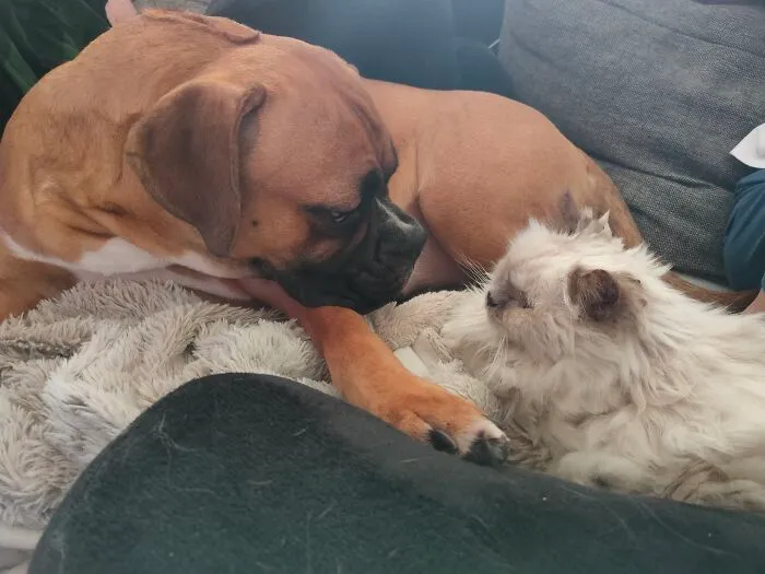 Best Friends :)