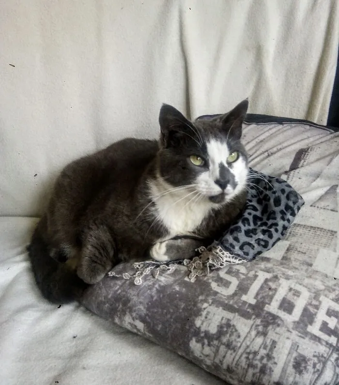 My Princess Chilling Out On A Sofa.