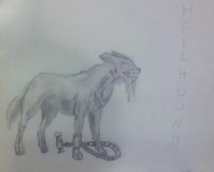I Was Using A How To Draw Book And Made A Few Tweaks. Turned Out A Lot Scarier Than The One In The Book Haha, I Like It Though. It's A Hellhound.
