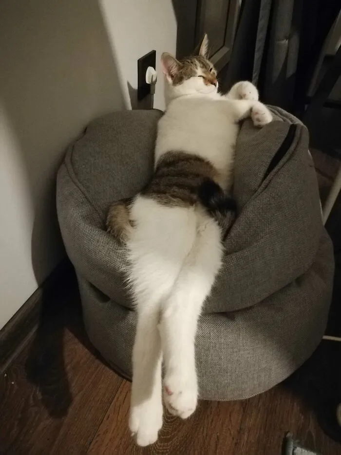The Angle Is Everything