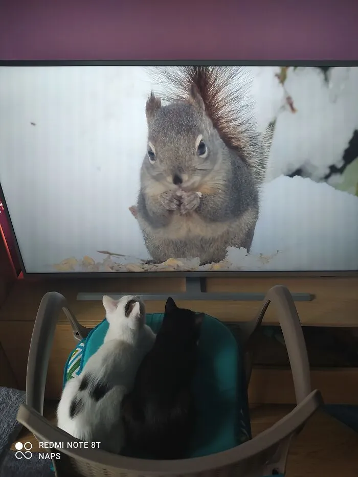Youtube &chill