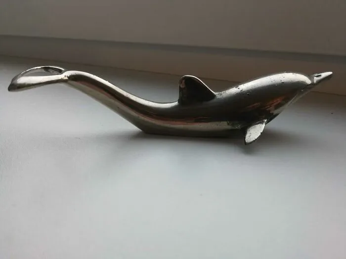 More Than A Dolphin