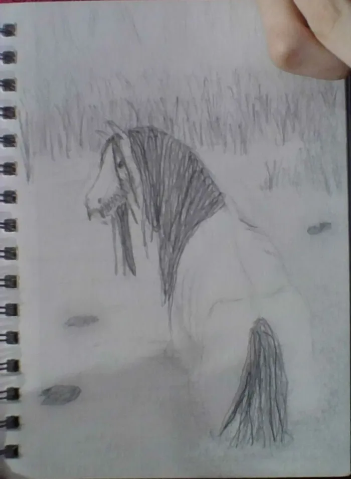 It's A Kelpie. Sorry About The Low Quality Picture By The Way. My Camera Sucks.