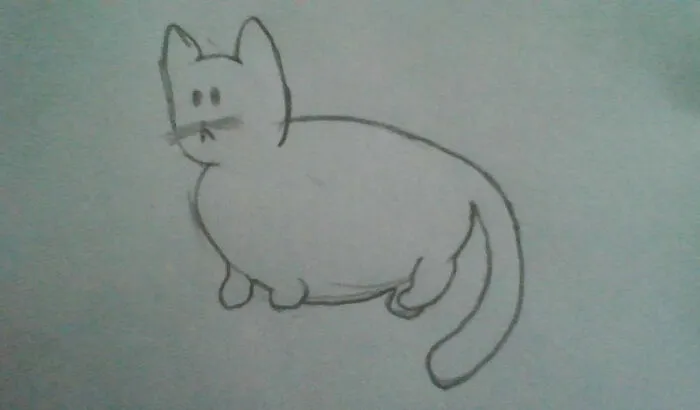 My Potato Of A Cat