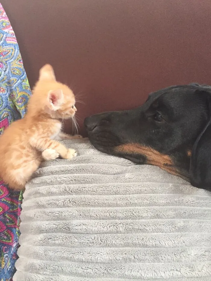 Mama?