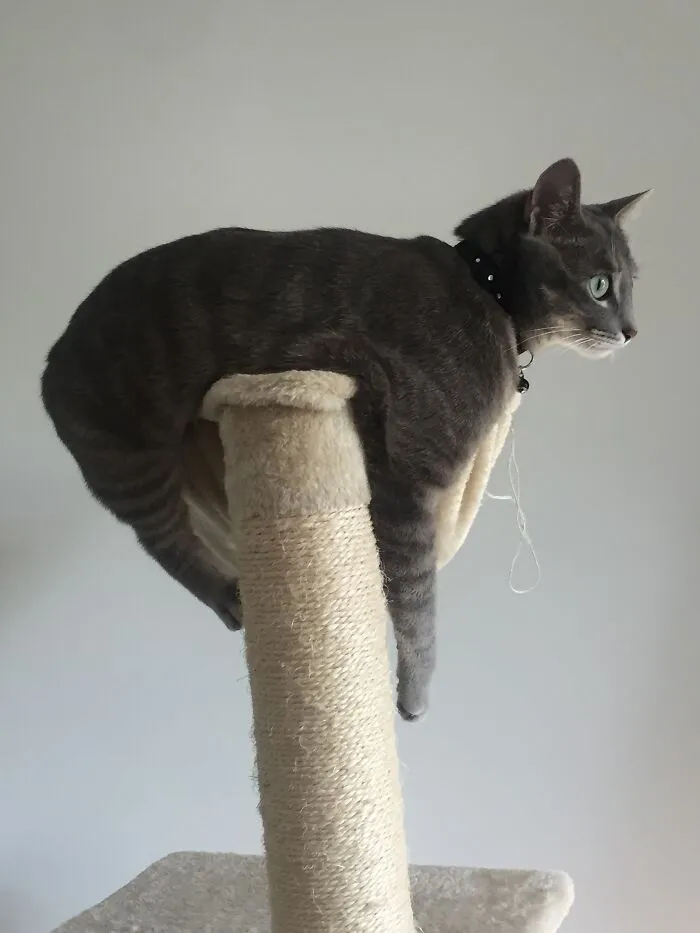 On The Lookout!!!