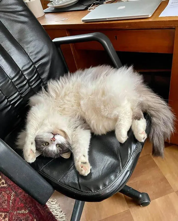 Ilderim Says: No More Work Today!