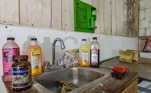 My 9 Photos Of Little Shop Of Horrors Abandoned Funeral Home
