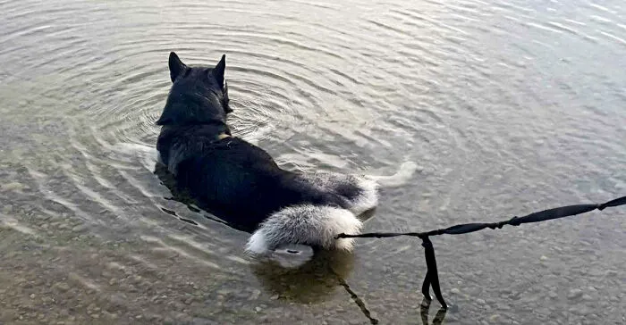 This Is How He Spends Most Of His Time In The Summer