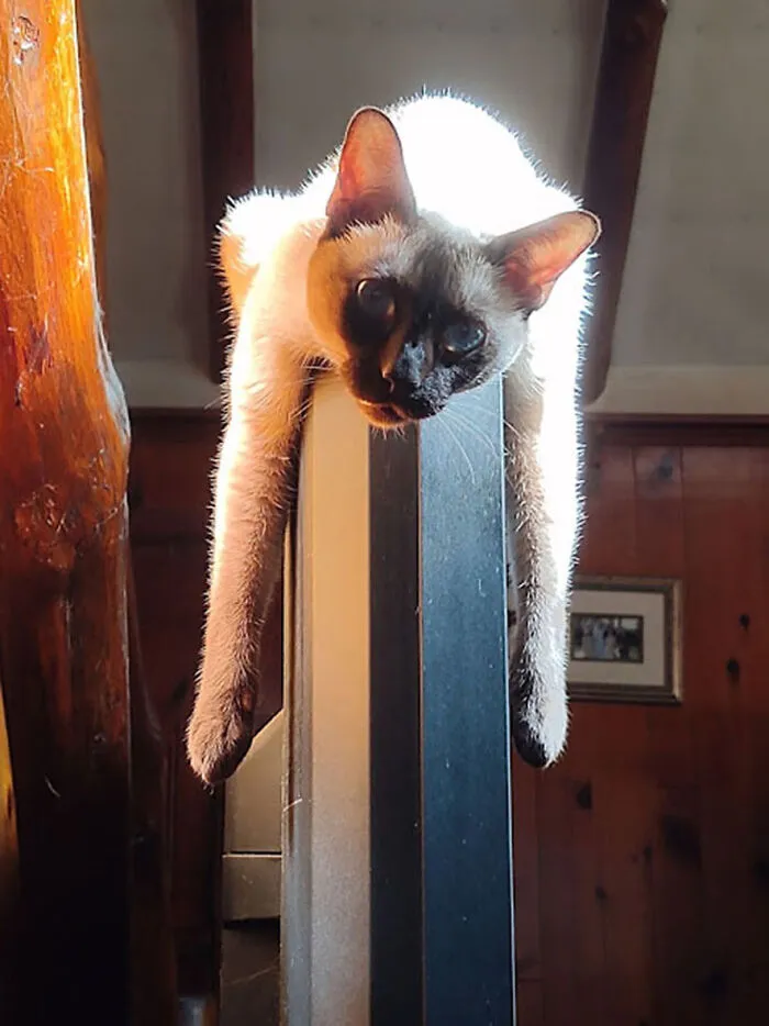 Goofiest Pic Of Have Of Her.  She's Just Looking At Me Like, "Can I Help You With Something?"