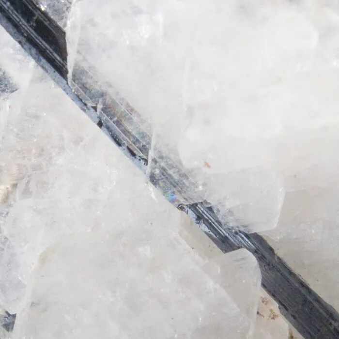 Albite On Aegirine, Mt. St. Hilaire, Quebec, Canada
