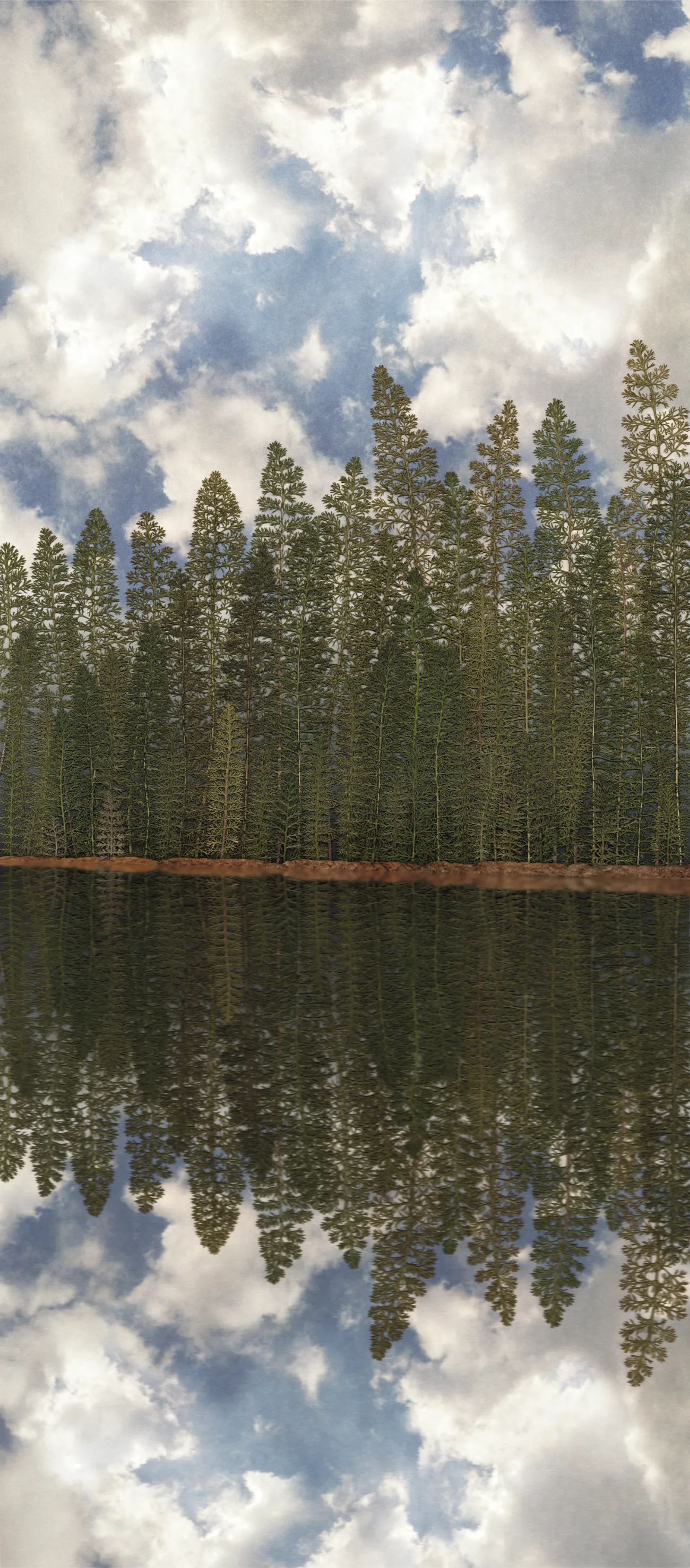 The Original Of This Print, “Mirrored Woods”
was Made By Hand Using Pressed Yarrow Leaves (Trees) And Other Pressed Leaves (Shoreline).