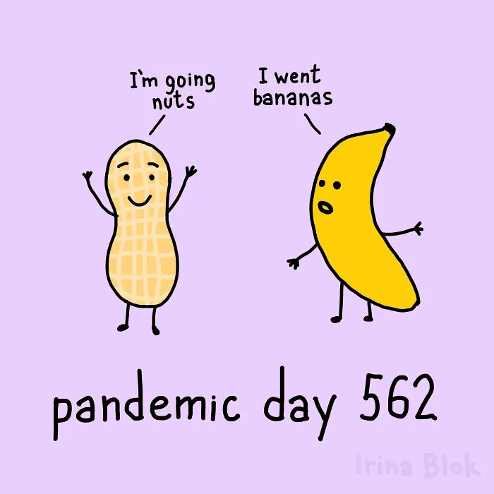 Pandemic Day 562