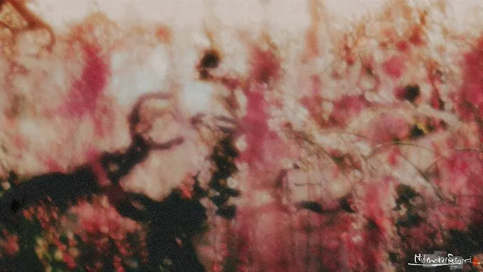 My Photo Of Defocus