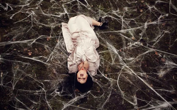 Spider's Web