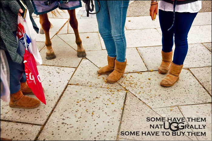 Ugg (Photo: Colchester, UK.. 2012)