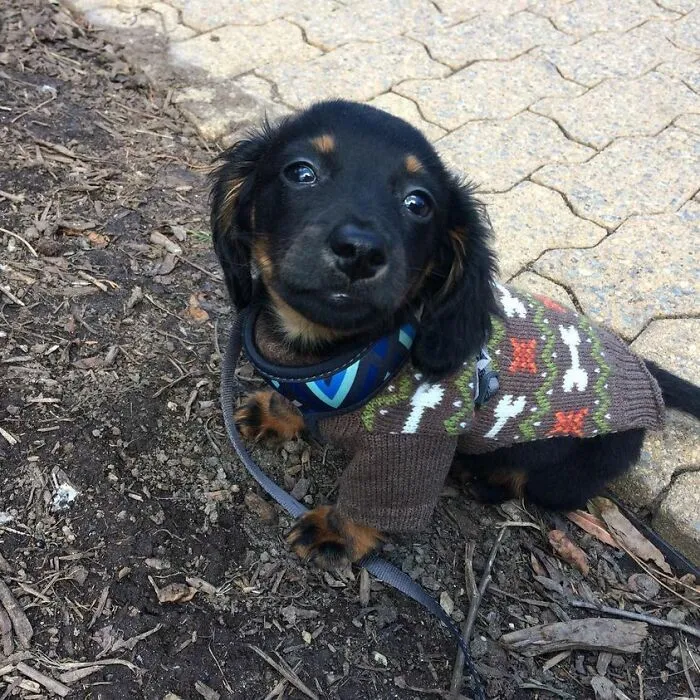 First Sweater
