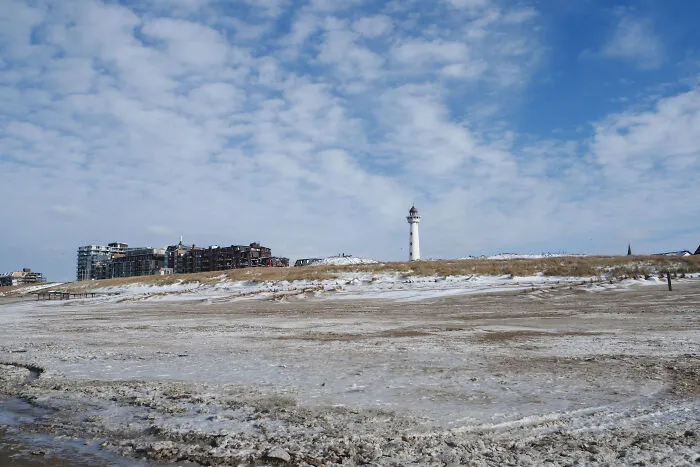 The Lighthouse