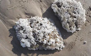 I Captured Snow And Ice On A Beautiful Dutch Beach