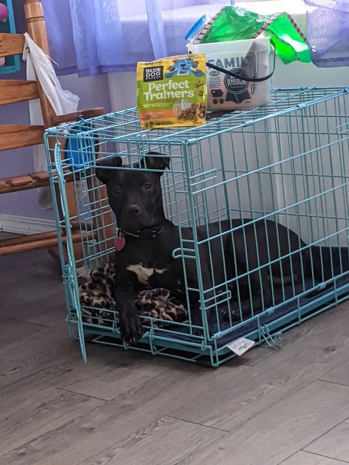 Eminence: Rescued 12/12/20