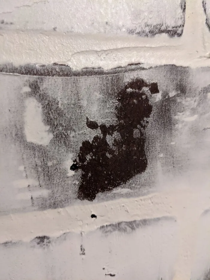 Bearded Ponytail Man In Our Spackled Brick Wall
