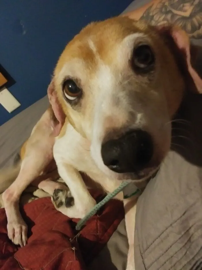 Looking Cute