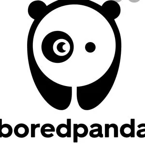 panda-fan