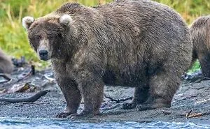 Hey Pandas, Post A Picture Of Animals Way Bigger Than They Should Be (Closed)