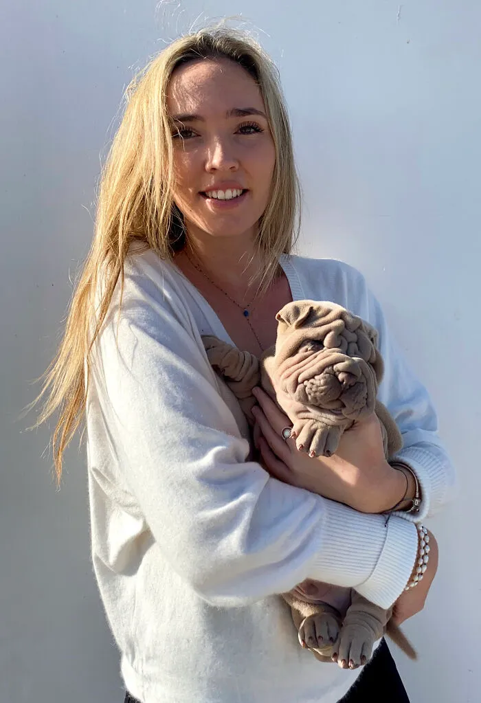 This Shar Pei Is Tricking People On The Internet Into Thinking He's A Scrunched-Up Blanket (53 Pics)