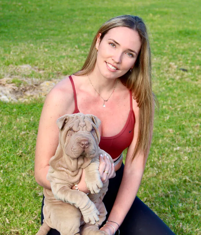 This Shar Pei Is Tricking People On The Internet Into Thinking He's A Scrunched-Up Blanket (53 Pics)