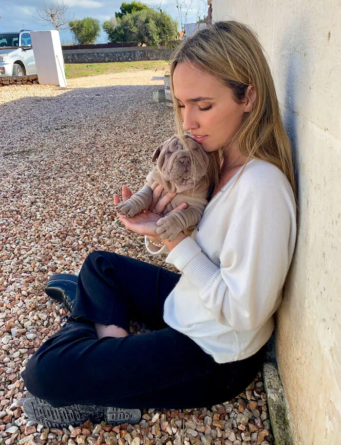 This Shar Pei Is Tricking People On The Internet Into Thinking He's A Scrunched-Up Blanket (53 Pics)